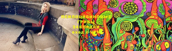сатива Абдулино