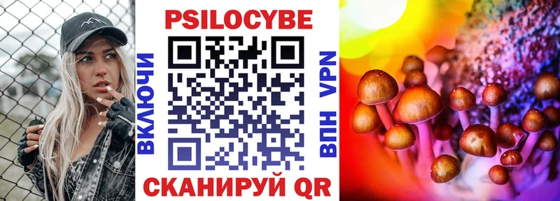 гидра как войти  закладка  Новая Усмань  Псилоцибиновые грибы мицелий 